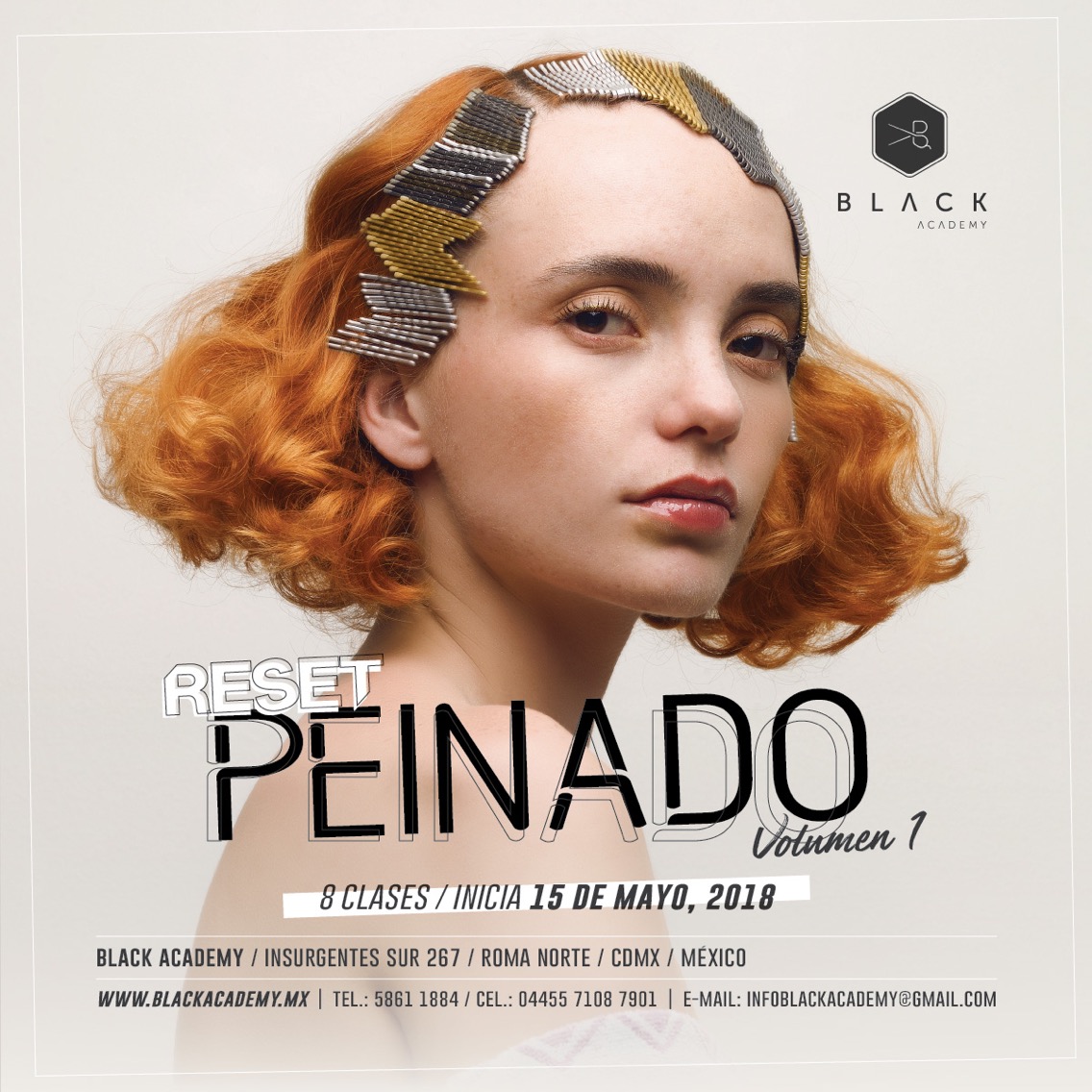 Reset Peinado Vol. 2 - BlackAcademy